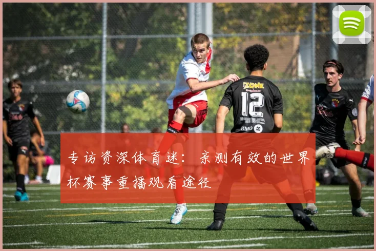 专访资深体育迷:亲测有效的世界杯赛事重播观看途径
