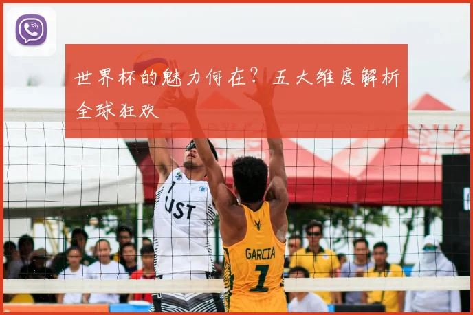 世界杯的魅力何在？五大维度解析全球狂欢