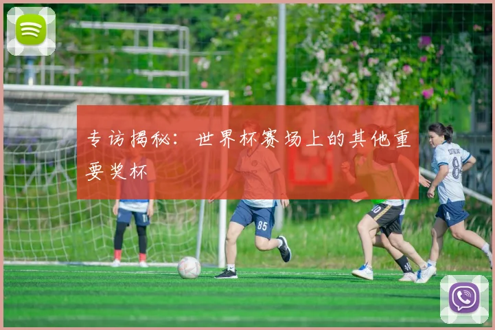 专访揭秘:世界杯赛场上的其他重要奖杯