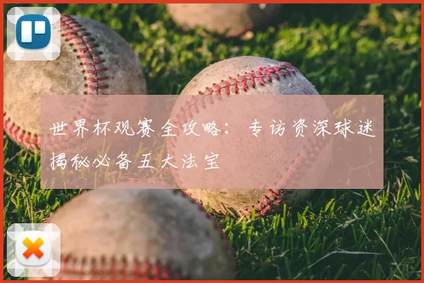 世界杯观赛全攻略:专访资深球迷揭秘必备五大法宝