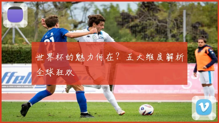 世界杯的魅力何在?五大维度解析全球狂欢