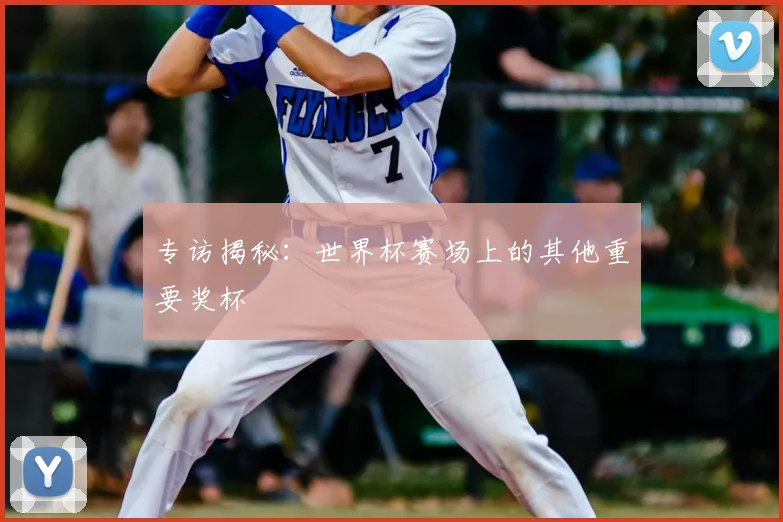 专访揭秘:世界杯赛场上的其他重要奖杯