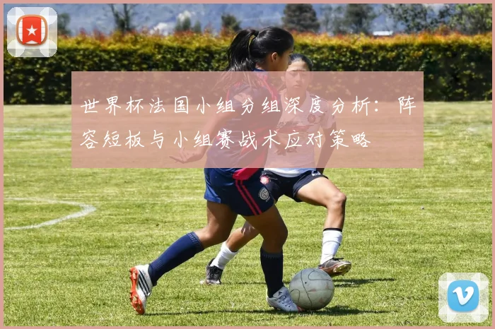 世界杯法国小组分组深度分析：阵容短板与小组赛战术应对策略