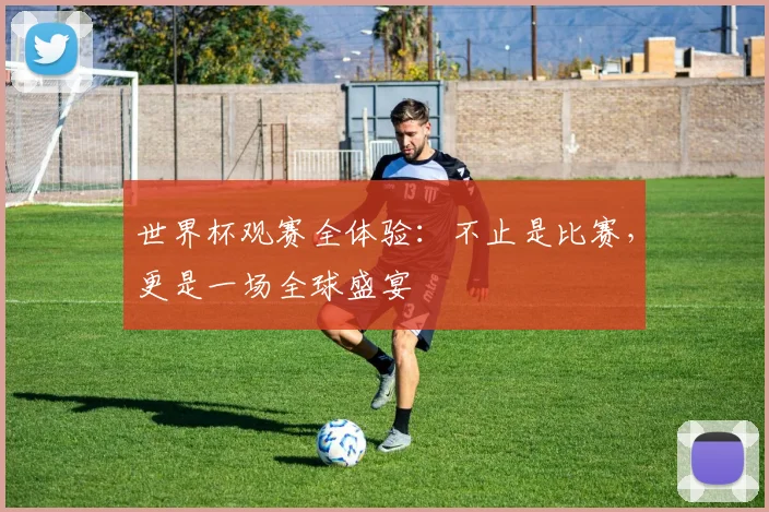 世界杯观赛全体验:不止是比赛,更是一场全球盛宴