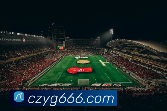 必一体育sport的合作伙伴平台生态图